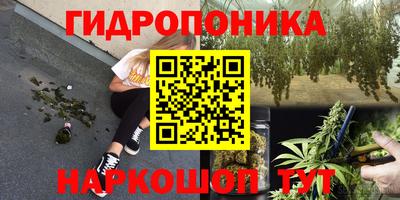 гидропоника Пушкино