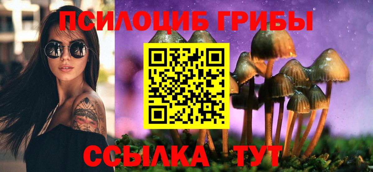 Сибай  Галлюциногенные грибы MAGIC MUSHROOMS  Вход с VPN 